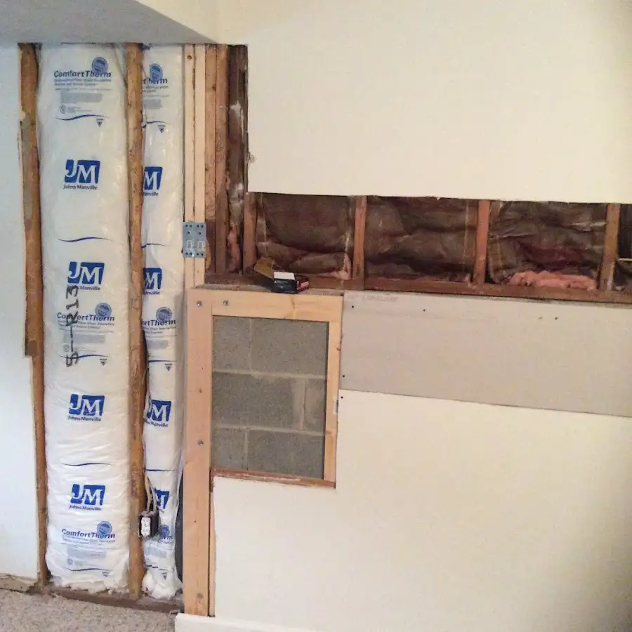 Wall insulation replacement during Odor Removal & Deodorization in Alpine